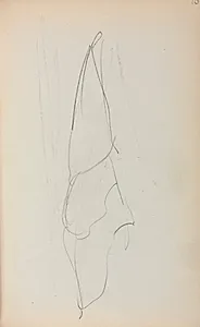 Italian Sketchbook; Sail (page 70) by Maurice Prendergast (American, 1858–1924)