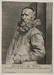 Jan de Wael