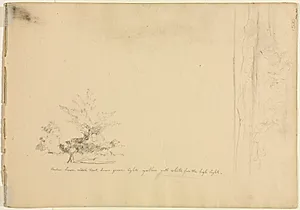 Landscape and Tree Studies (verso)