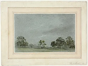 Landscape
