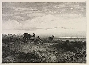 Landscape with Deer