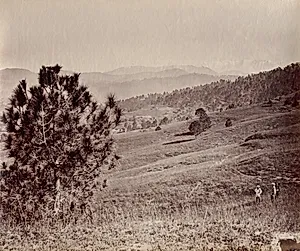 Landscape with Tree and Three Men, India by John Edward Saché (German, 1824–1900)