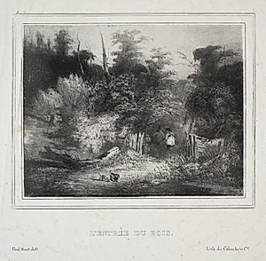 Landscapes:  The Entrance of a Forest