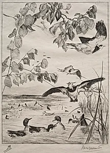 Lapwings and Teals by Félix Bracquemond (French, 1833–1914)