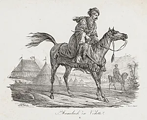 Large Suite of Horses:  Mounted Mamelucke