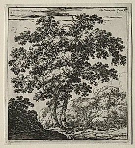 Les deux grands arbres au bord du chemin