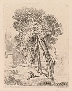 Liber Studiorum: Plate 18, Trees at Norwich Thorp, Norfolk by John Sell Cotman (British, 1782–1842)