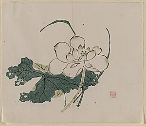 Lotus Blossom by Unknown Artist