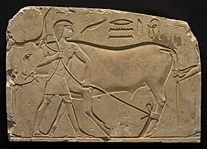Men Trussing an Ox by Unknown Artist