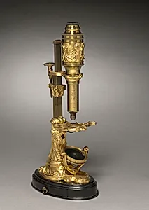 Microscope by Unknown Artist