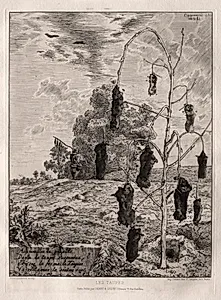 Moles by Félix Bracquemond (French, 1833–1914)