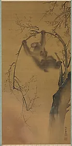 Monkeys in a Cherry Tree