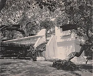 Monks Outside Temple, Ceylon by A. W. A. Plâté Studio (Ceylonese)