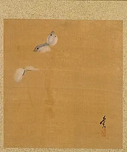 Moths from Album of Paintings by the Venerable Zeshin by Shibata Zeshin (Japanese, 1807–1891)