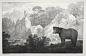 Mountainous Landscape with Bear in the Foreground