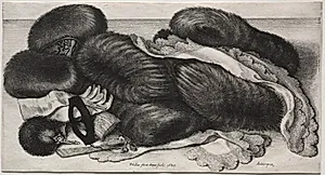 Muffs, Gloves, Collars and Other Articles of Toilet by Wenceslaus Hollar (Bohemian, 1607–1677)