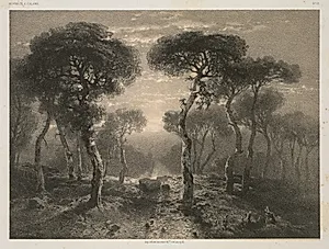 Oeuvres de A. Calame, No. 13: Forêt de Sierre en Valais by Jacomme & Cie. R. de Lancry, 12, Paris