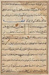 Page from Tales of a Parrot (Tuti-nama): text page by Unknown Artist