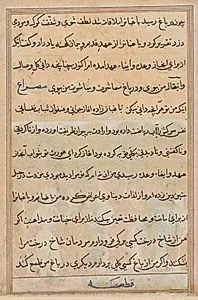 Page from Tales of a Parrot (Tuti-nama): text page by Unknown Artist