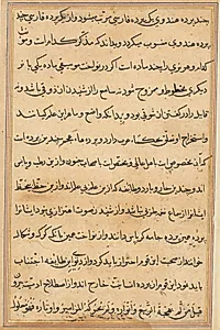 Page from Tales of a Parrot (Tuti-nama): text page by Unknown Artist