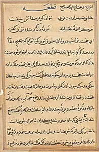 Page from Tales of a Parrot (Tuti-nama): text page by Unknown Artist