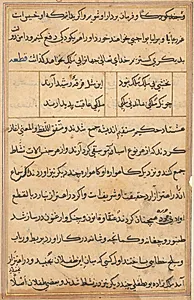 Page from Tales of a Parrot (Tuti-nama): text page by Unknown Artist