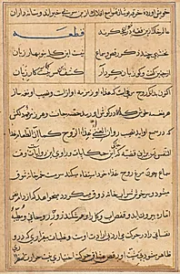 Page from Tales of a Parrot (Tuti-nama): text page by Unknown Artist