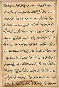 Page from Tales of a Parrot (Tuti-nama): text page by Unknown Artist