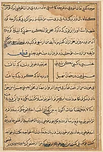 Page from Tales of a Parrot (Tuti-nama): text page by Unknown Artist