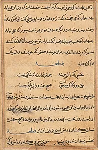 Page from Tales of a Parrot (Tuti-nama): text page by Unknown Artist