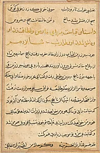Page from Tales of a Parrot (Tuti-nama): text page by Unknown Artist