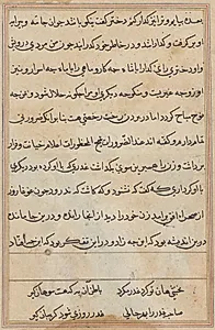 Page from Tales of a Parrot (Tuti-nama): text page by Unknown Artist