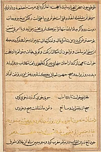 Page from Tales of a Parrot (Tuti-nama): text page by Unknown Artist