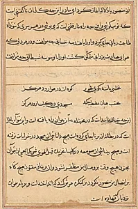 Page from Tales of a Parrot (Tuti-nama): text page by Unknown Artist