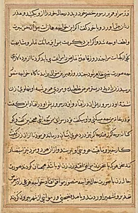 Page from Tales of a Parrot (Tuti-nama): text page by Unknown Artist