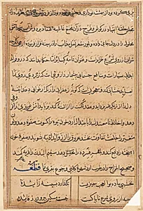 Page from Tales of a Parrot (Tuti-nama): text page by Unknown Artist