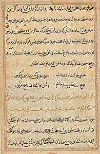 Page from Tales of a Parrot (Tuti-nama): text page by Unknown Artist