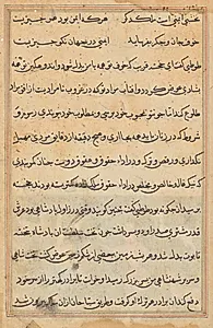 Page from Tales of a Parrot (Tuti-nama): text page by Unknown Artist