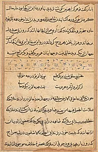 Page from Tales of a Parrot (Tuti-nama): text page by Unknown Artist