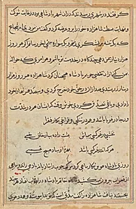 Page from Tales of a Parrot (Tuti-nama): text page by Unknown Artist