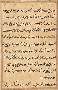 Page from Tales of a Parrot (Tuti-nama): text page by Unknown Artist