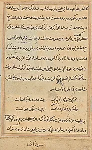 Page from Tales of a Parrot (Tuti-nama): text page by Unknown Artist