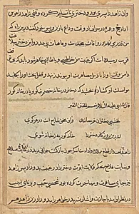 Page from Tales of a Parrot (Tuti-nama): text page by Unknown Artist