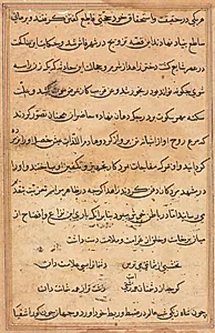 Page from Tales of a Parrot (Tuti-nama): text page by Unknown Artist