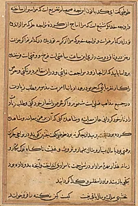 Page from Tales of a Parrot (Tuti-nama): text page by Unknown Artist