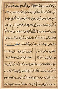 Page from Tales of a Parrot (Tuti-nama): text page by Unknown Artist