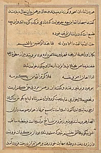 Page from Tales of a Parrot (Tuti-nama): text page by Unknown Artist