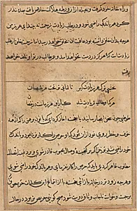 Page from Tales of a Parrot (Tuti-nama): text page by Unknown Artist