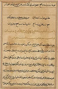 Page from Tales of a Parrot (Tuti-nama): text page by Unknown Artist