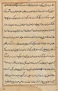 Page from Tales of a Parrot (Tuti-nama): text page by Unknown Artist